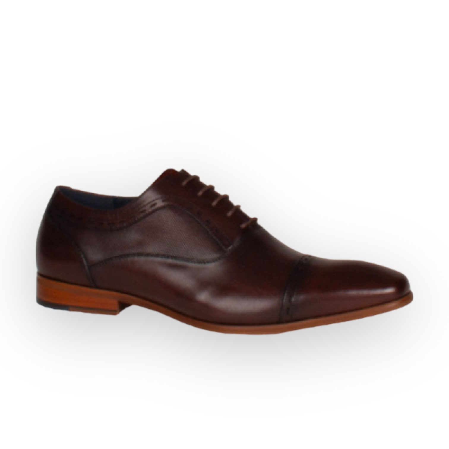 Tommy Bowe - Men’s dark ale shoe - Galthie